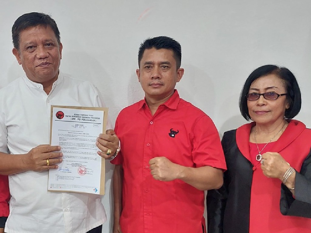 PDIP