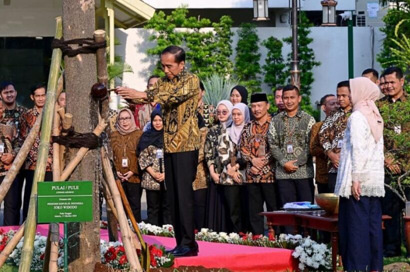 Jelang Purna Tugas, Jokowi Tanam Pohon di Istana